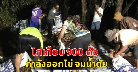 เจ้าของฟาร์มไก่ เศร้า พายุฤดูร้อนถล่ม ไก่เกือบ 900 ตัว กำลังออกไข่ จมน้ำดับ