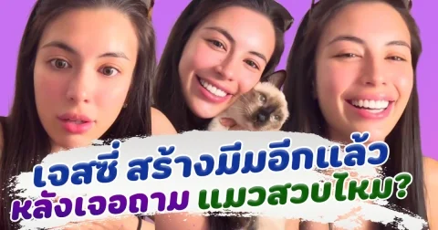 เจสซี่ สร้างมีมอีกแล้ว หลังคนถามแมวสวบมั้ย