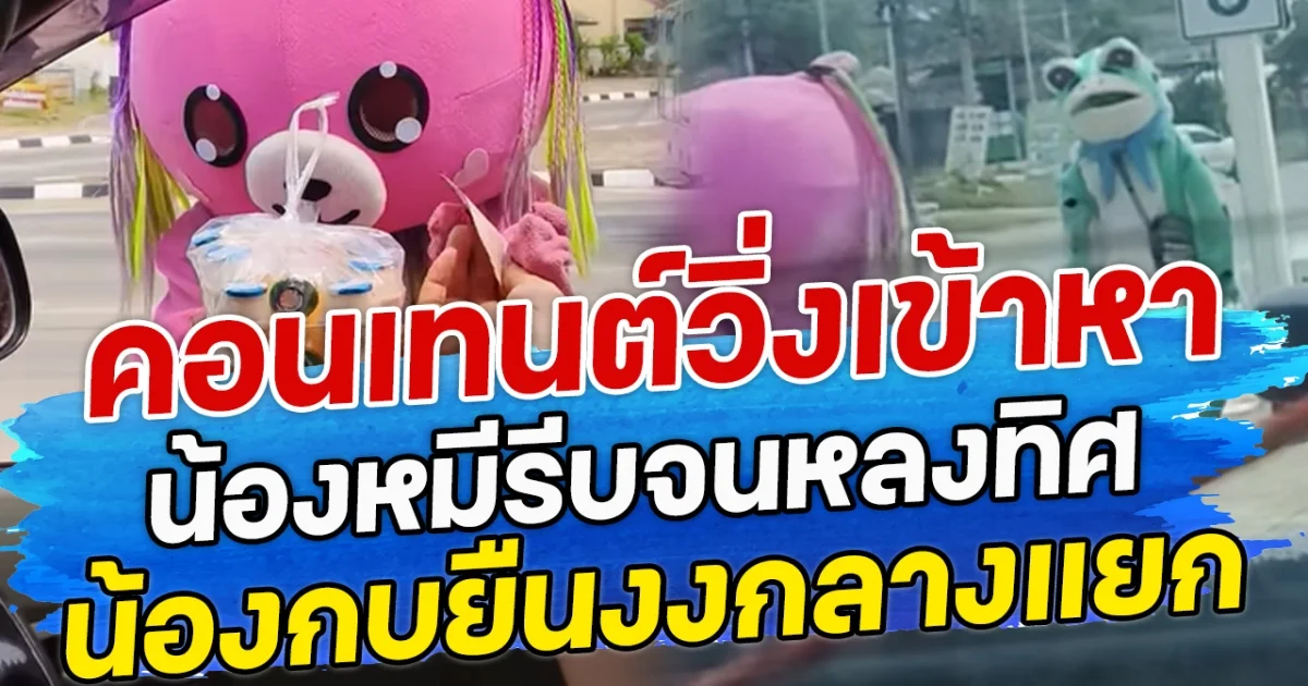 คอนเทนต์วิ่งเข้าหา น้องหมีรีบจนหลงทิศ น้องกบยืนงงกลางแยก