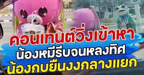 คอนเทนต์วิ่งเข้าหา น้องหมีรีบจนหลงทิศ น้องกบยืนงงกลางแยก