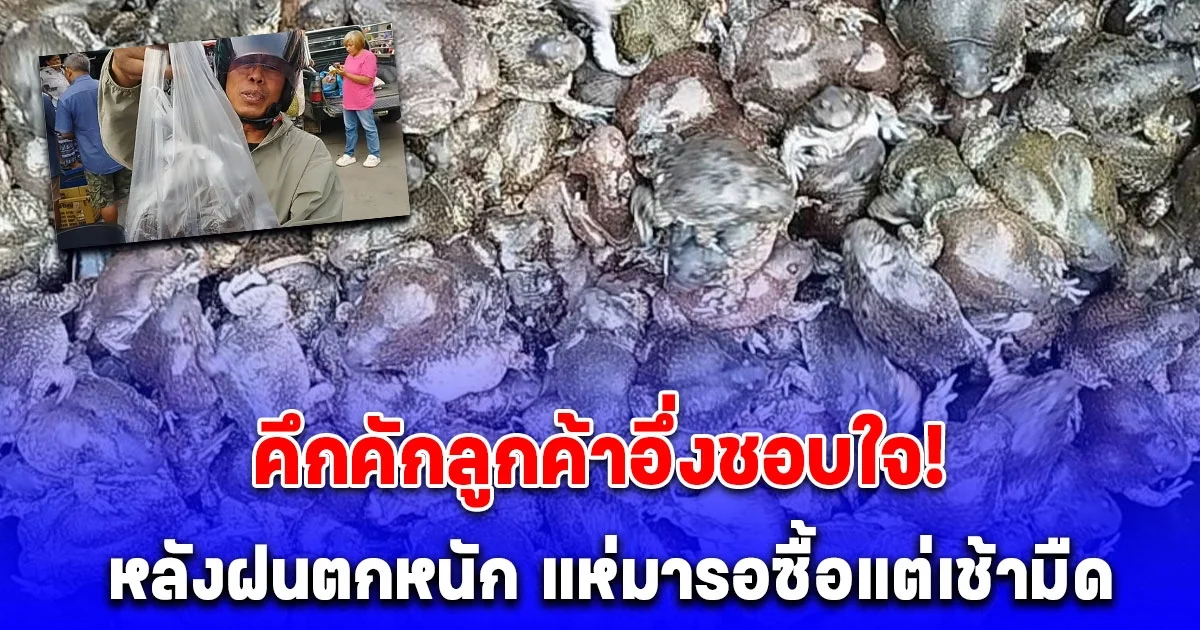 คึกคักลูกค้าอึ่งชอบใจ! หลังฝนตกหนัก แห่มารอซื้อแต่เช้ามืด ไปฝากญาติพี่น้องทำเมนูอาหาร