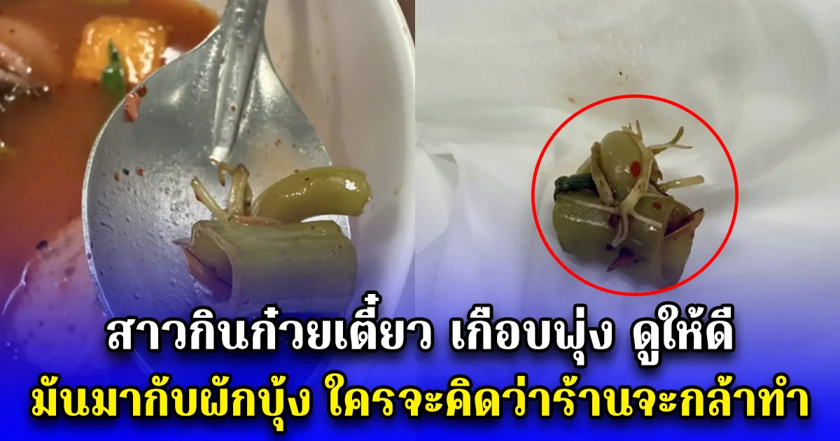 สาวกินก๋วยเตี๋ยว เกือบพุ่ง ดูให้ดี มันมากับผักบุ้ง ใครจะคิดว่าร้านจะกล้าทำ