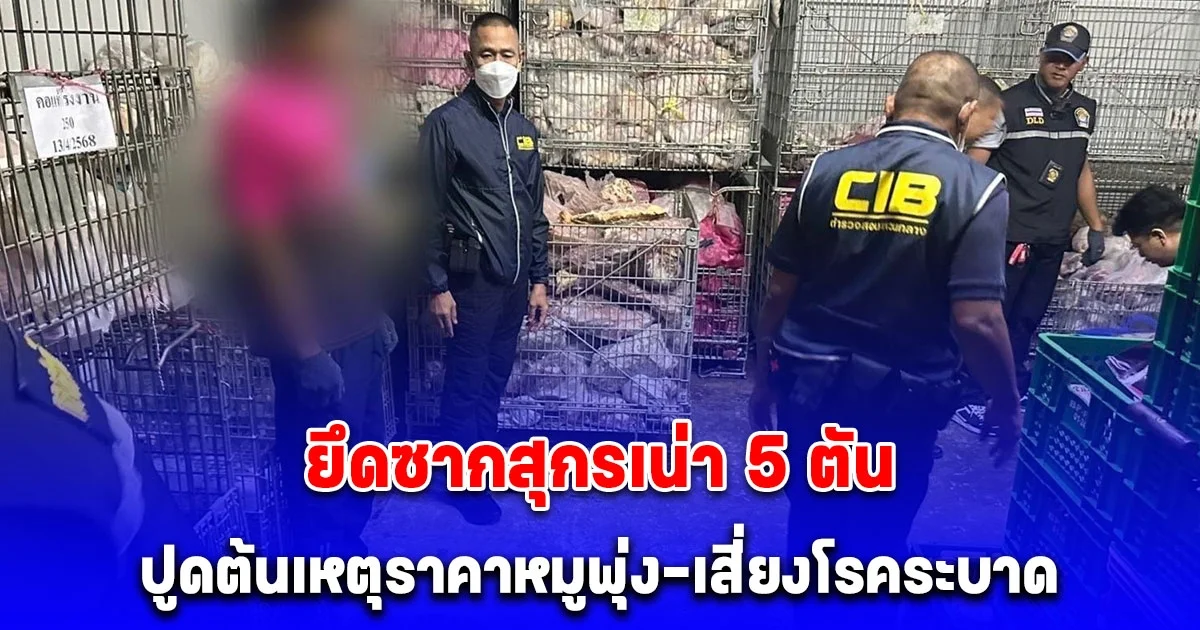 กวาดล้างหมูเถื่อนกลางตลาดดัง! ยึดซากสุกรเน่า 5 ตัน ปูดต้นเหตุราคาหมูพุ่ง-เสี่ยงโรคระบาด