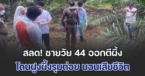 สลด! ชายวัย 44 ออกตีผึ้ง พลาดโดนฝูงผึ้งรุมต่อย นอนเสียชีวิตอยู่กลางสวนปาล์ม กว่าจะมีคนเจอ ก็ปาไป 4 วันแล้ว