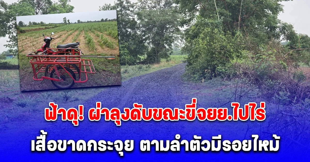 ฟ้าดุ! ผ่าลุงดับขณะขี่จยย.ไปไร่ เสื้อขาดกระจุย ตามลำตัวมีรอยไหม้