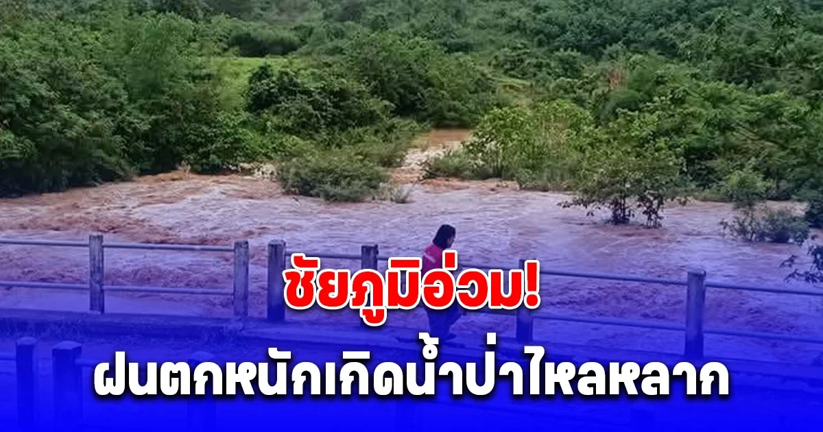 ชัยภูมิอ่วม! ฝนตกหนักน้ำป่าไหลหลาก ทะลักซัดพืชสวนตลาดเกิดน้ำท่วม