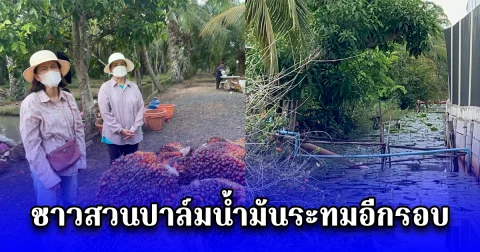 ชาวสวนปาล์มน้ำมันระทมอีกรอบ หลังทุนจีนสร้างโรงงานแปรรูปทุเรียน ปล่อยน้ำเสียลงคลองส่งกลิ่นเหม็น
