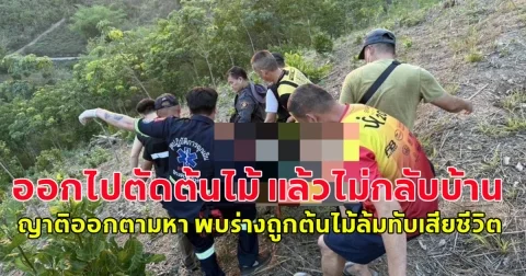 ตำรวจดวงถึงฆาต ตัดต้นไม้ล้มทับตัวเองเสียชีวิตกลางสวน
