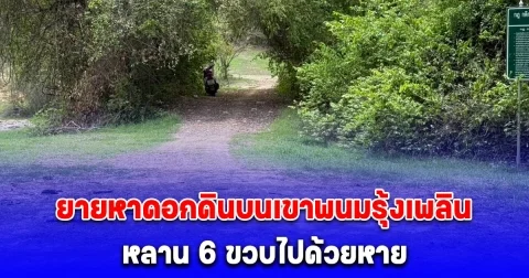 ยายหาดอกดินบนเขาพนมรุ้งเพลิน หลาน 6 ขวบไปด้วยหาย