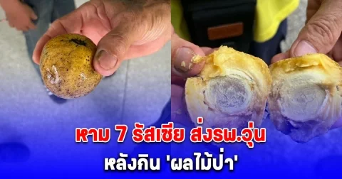 หามส่งรพ.วุ่น 7 นักท่องเที่ยวรัสเซีย กิน ผลไม้ป่า คลื่นไส้ แน่นหน้าอก น้ำลายฟูมปาก