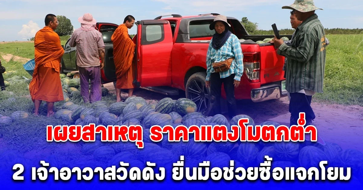 เผยสาเหตุ ราคาแตงโมตกต่ำ เหลือกิโลละ 5 บาท ล่าสุด 2 เจ้าอาวาสวัดดัง ยื่นมือช่วยซื้อแจกโยม