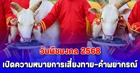 วันพืชมงคล 2568 เปิดความหมาย การเสี่ยงทายผ้านุ่ง การเสี่ยงทายของกิน 7 สิ่ง พระราชพิธีพืชมงคลจรดพระนังคัลแรกนาขวัญ 9 พฤษภาคม 2568