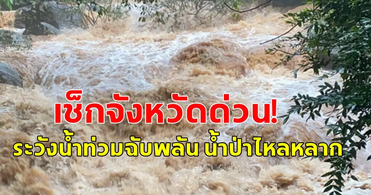 สำนักงานทรัพยากรน้ำแห่งชาติ ออกประกาศ น้ำท่วมฉับพลัน น้ำป่าไหลหลาก
