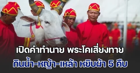 วันพืชมงคล 2568 เปิดคำทำนาย พระโคเสี่ยงทาย กินน้ำ-หญ้า-เหล้า หยิบผ้า 5 คืบ