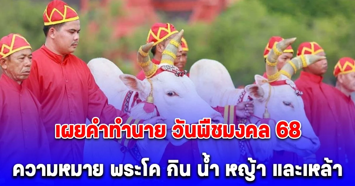 เผยคำทำนาย วันพืชมงคล 68 ความหมาย พระโค กิน น้ำ หญ้า และเหล้า