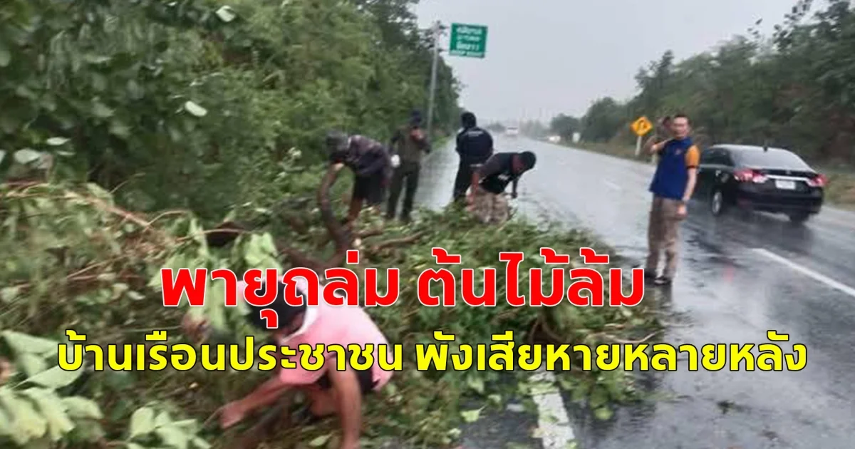 เกิดเหตุ พายุฤดูร้อน ต้นไม้หักโคนทับช่องทางการจราจร และบ้านเรือนประชาชนได้รับความ เสียหาย หลายหลังคาเรือน