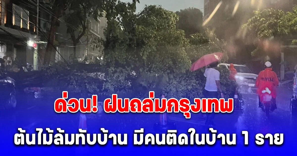 ด่วน! ฝนถล่มกรุง ต้นไม้ใหญ่ล้มทับบ้านประชาชน มีคนติดในบ้าน 1 ราย