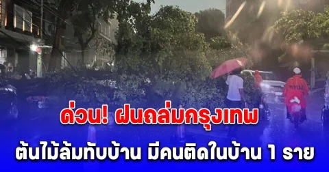 ด่วน! ฝนถล่มกรุง ต้นไม้ใหญ่ล้มทับบ้านประชาชน มีคนติดในบ้าน 1 ราย