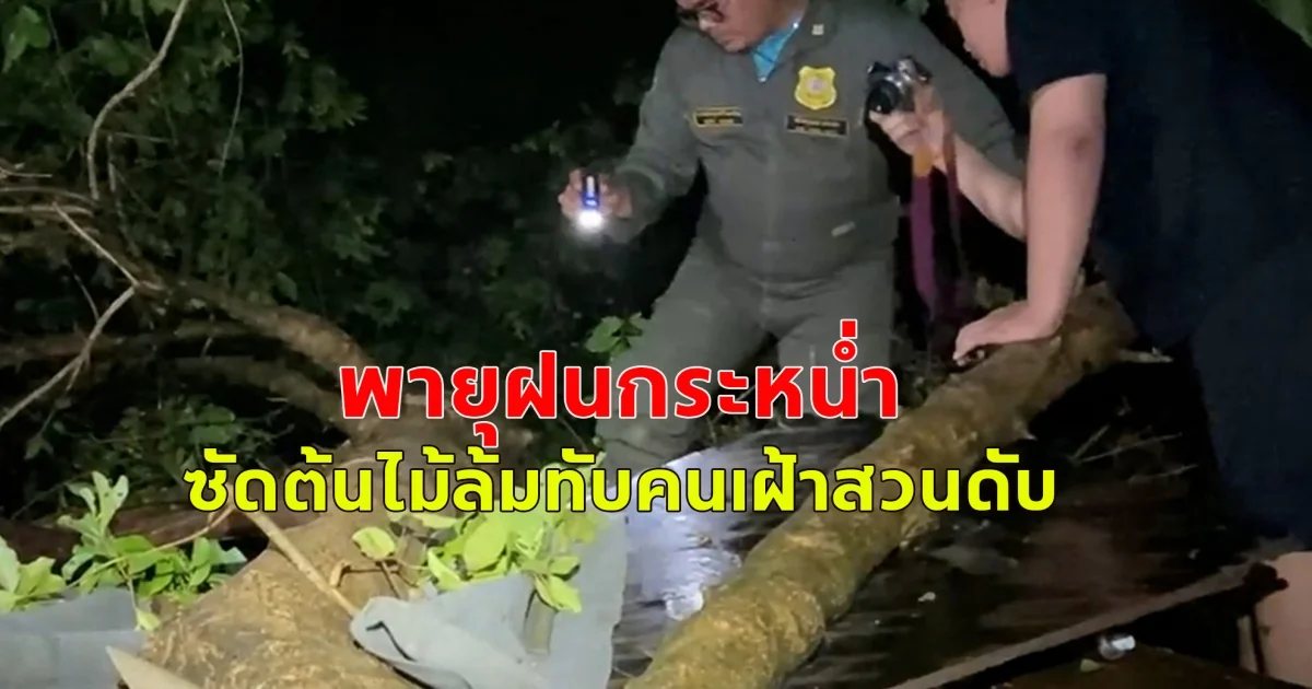 พายุฝนกระหน่ำ ซัดต้นไม้ล้มทับคนเฝ้าสวนดับ