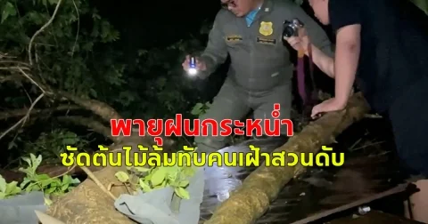 พายุฝนกระหน่ำ ซัดต้นไม้ล้มทับคนเฝ้าสวนดับ