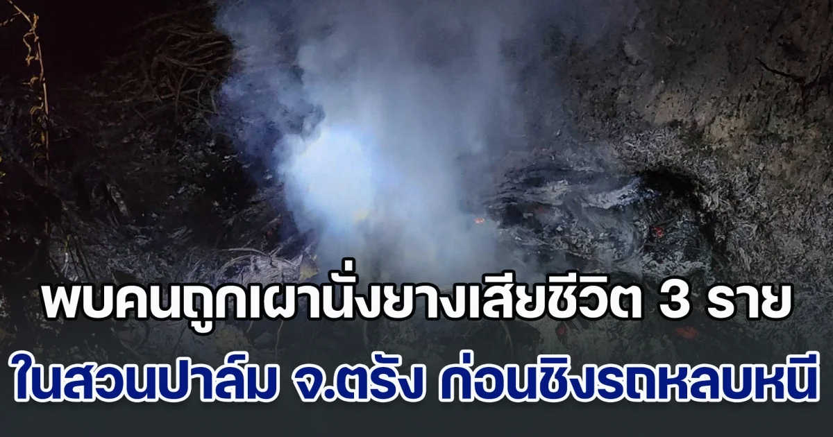 เร่งล่าคนร้าย! พบคนถูกเผานั่งยางเสียชีวิต 3 ราย ในสวนปาล์มน้ำมัน จ.ตรัง ก่อนชิงรถหลบหนี