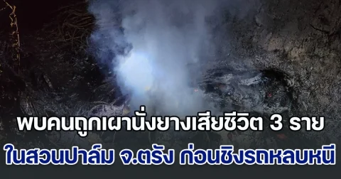 เร่งล่าคนร้าย! พบคนถูกเผานั่งยางเสียชีวิต 3 ราย ในสวนปาล์มน้ำมัน จ.ตรัง ก่อนชิงรถหลบหนี