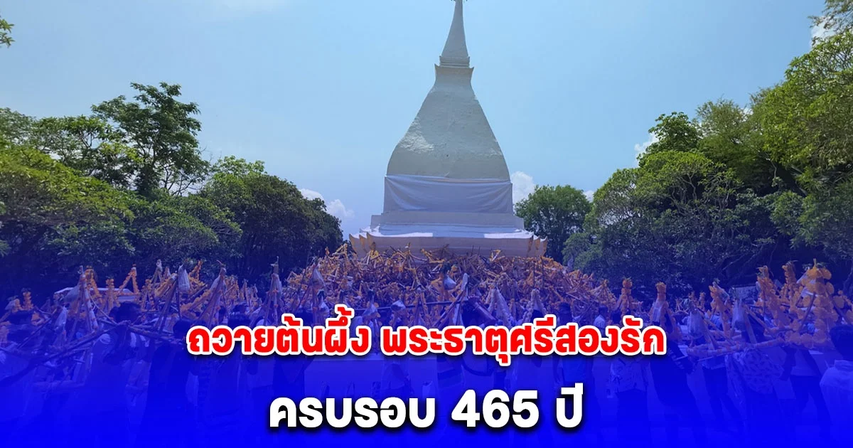 คนนับหมื่นร่วมถวายต้นผึ้ง พระธาตุศรีสองรัก ครบรอบ 465 ปี