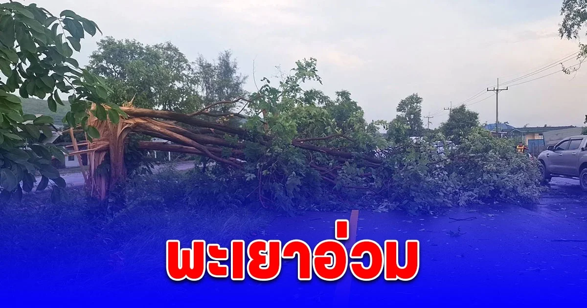 พะเยาอ่วม พายุฝนถล่มต้นไม้หักโค่นทับถนนรถติดยาวกว่ากิโล