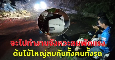 สาวขี่จยย. จะไปทำงานจังหวะลมพัดแรง ต้นไม้ใหญ่ลมทับทั้งคนทั้งรถ