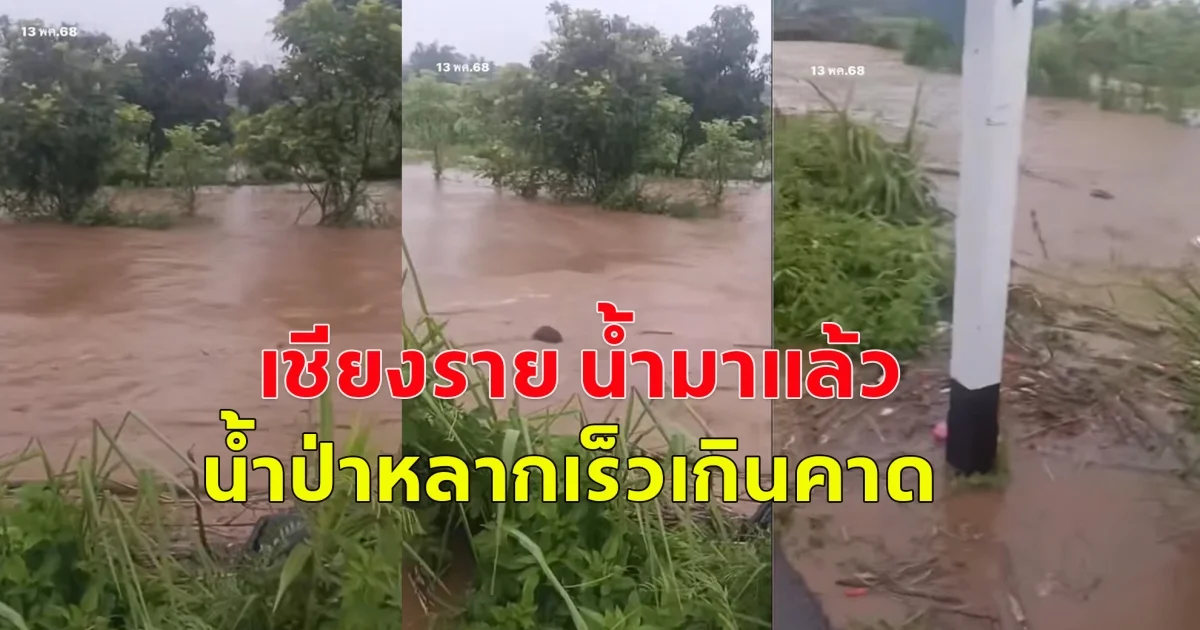 เชียงราย น้ำมาแล้ว! เช้านี้ น้ำป่าหลากเร็วเกินคาด