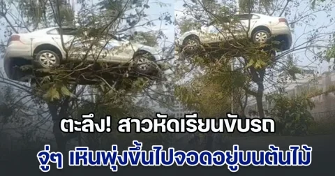ตะลึงกันทั้งถนน! สาวหัดเรียนขับรถ จู่ๆ เหินพุ่งขึ้นไปจอดอยู่บนต้นไม้ แต่ผลสอบสวนพลิกความคาดหมาย (ข่าวตปท.)