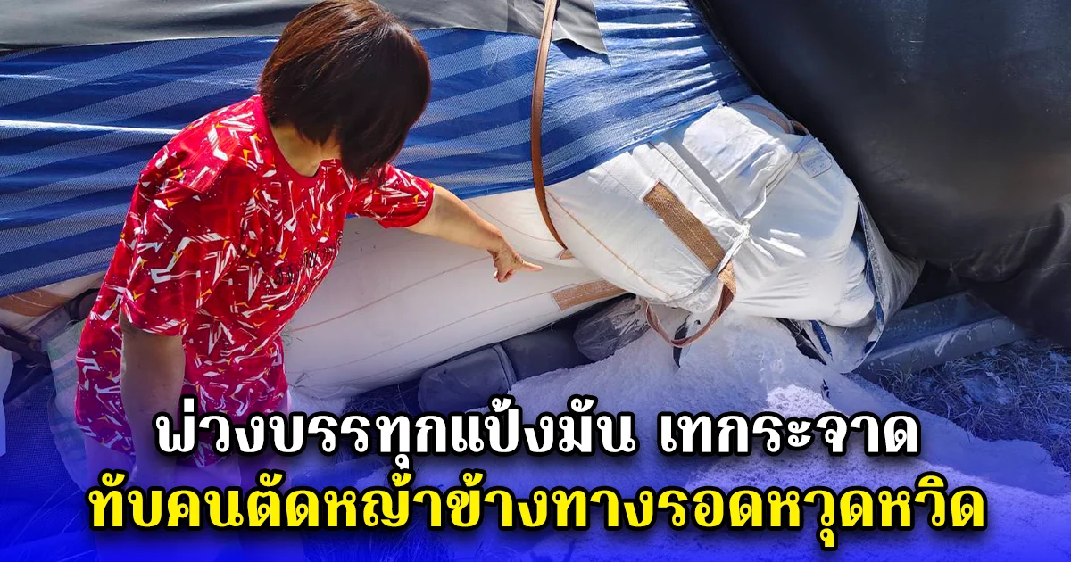 พ่วงบรรทุกแป้งมันเทกระจาดทับคนตัดหญ้าข้างทางรอดหวุดหวิด