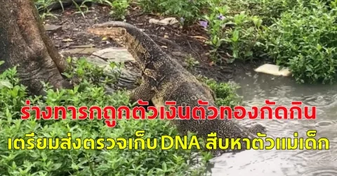 ร่างทารกถูกตัวเงินตัวทองกัดกิน เตรียมส่งตรวจเก็บ DNA สืบหาตัวแม่เด็ก