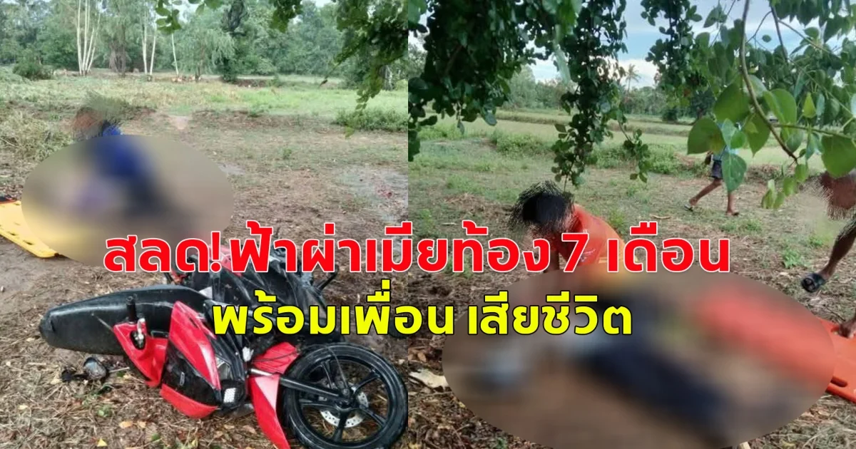 เกิดเหตุสลด! ยังไม่ได้เห็นหน้าลูกเลย สามีมีเศร้าพาเมียตั้งท้อง กับเพื่อน มารับเหมาตัดไม้ยูคาลิปตัส ก่อนถูกฟ้าผ่าเสียชีวิต