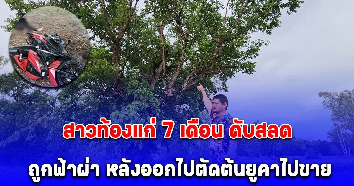สลด! สาวท้องแก่ 7 เดือน พร้อมเพื่อน ถูกฟ้าผ่าเสียชีวิตกลางทุ่งนา