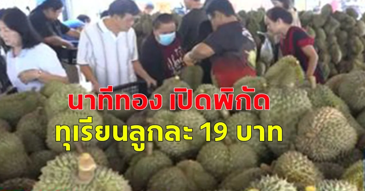 นาทีทอง เปิดพิกัด ทุเรียนลูกละ 19 บาท