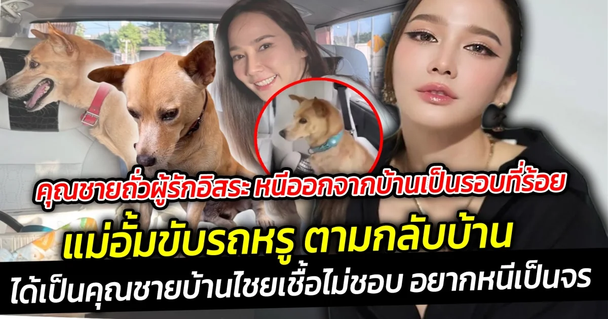 คุณชายถั่วผู้รักอิสระ หนีออกจากบ้านเป็นรอบที่ร้อย อั้ม พัชราภา รีบอุ้มขึ้นรถหรูพากลับบ้าน นี่มันคุณชายบ้านไชยเชื้อชัดๆ