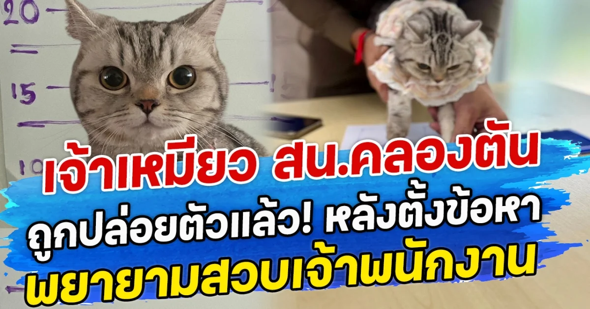 เจ้าเหมียว สน.คลองตัน ถูกปล่อยตัวแล้ว! หลังตั้งข้อหา พยายามสวบเจ้าพนักงาน