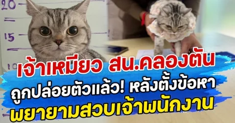 เจ้าเหมียว สน.คลองตัน ถูกปล่อยตัวแล้ว! หลังตั้งข้อหา พยายามสวบเจ้าพนักงาน