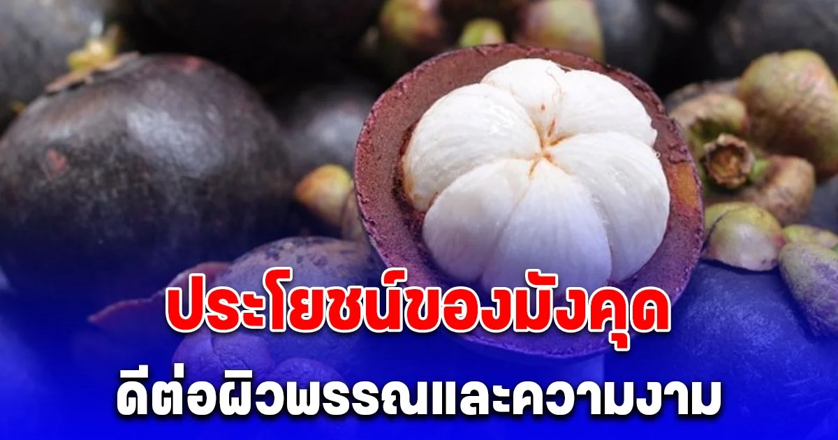 ประโยชน์ของมังคุด ดีต่อผิวพรรณและความงาม