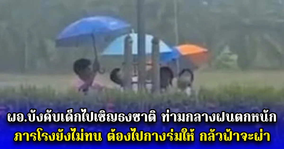 ดราม่า ผอ.บังคับเด็กไปเชิญธงชาติ ท่ามกลางฝนตกหนัก ภารโรงยังไม่ทน ต้องไปกางร่มให้ กลัวฟ้าจะผ่า