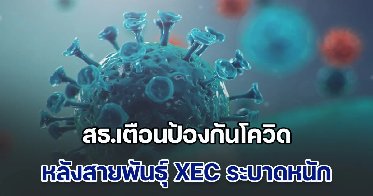 แพร่เชื้อได้รวดเร็ว! สธ.เตือนป้องกันโควิด หลังสายพันธุ์ XEC ระบาดหนัก ป่วยกว่าแสนคน เสียชีวิตแล้ว 27 ราย