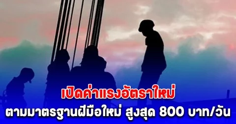 อู้หู ประกาศแล้ว เปิดค่าแรงตามมาตรฐานฝีมือใหม่ 13 สาขาอาชีพ สูงสุด 800 บาท/วัน