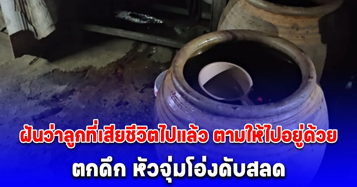 ป้าฝันแม่น บอกลูกที่เสียชีวิตไปแล้วมาตามให้ไปอยู่ด้วย ตกดึก หัวจุ่มโอ่งดับสลด