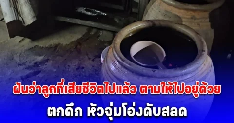 ป้าฝันแม่น บอกลูกที่เสียชีวิตไปแล้วมาตามให้ไปอยู่ด้วย ตกดึก หัวจุ่มโอ่งดับสลด