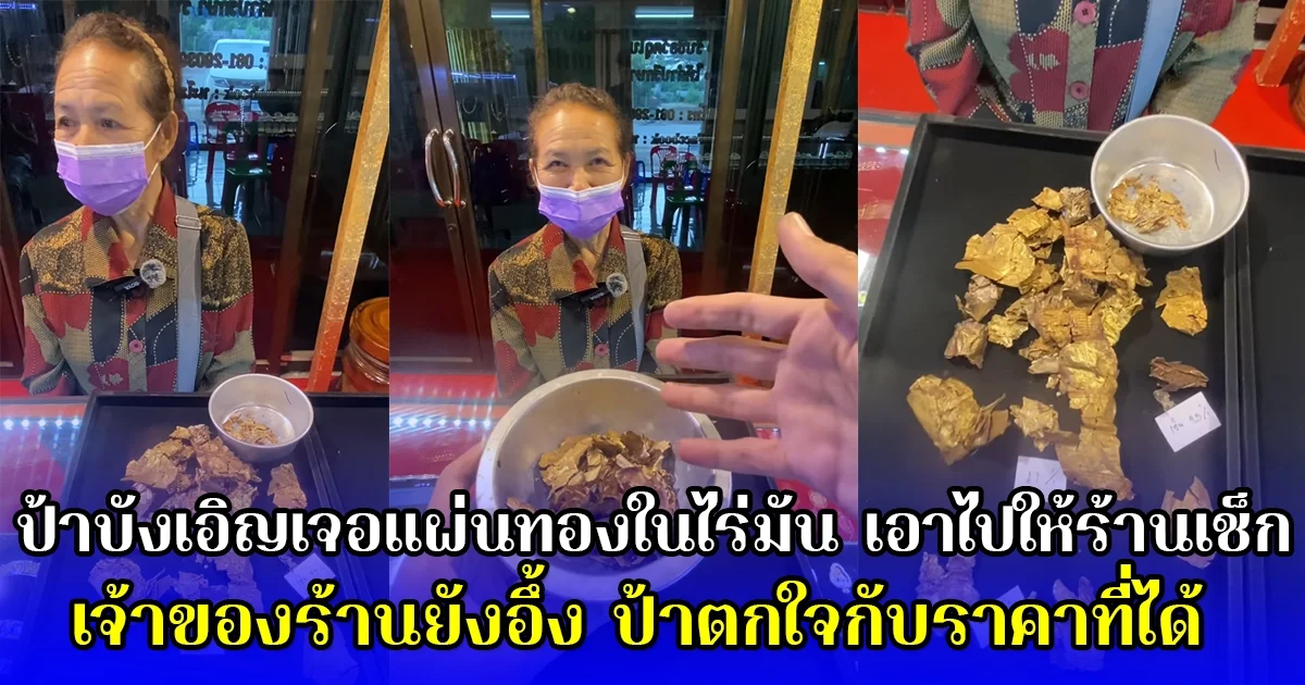 ป้าบังเอิญเจอแผ่นทองในไร่มัน เอาไปให้ร้านเช็ก เจ้าของร้านยังอึ้ง ยกมือท่วมหัว ป้าตกใจกับราคาที่ได้
