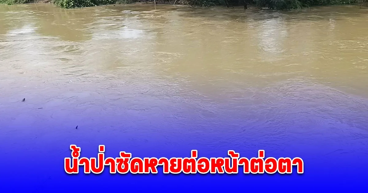 เร่งค้นหายายวัย 64 ปี ถูกน้ำป่าซัดหายต่อหน้าต่อตา