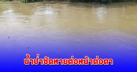 เร่งค้นหายายวัย 64 ปี ถูกน้ำป่าซัดหายต่อหน้าต่อตา