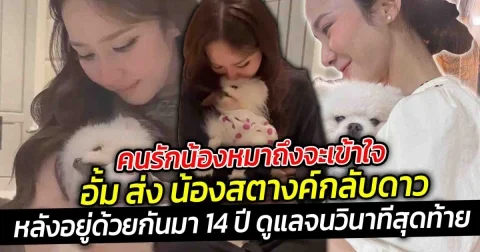 คนรักน้องหมาถึงจะเข้าใจ อั้ม ส่งน้องสตางค์เป็นครั้งสุดท้าย กลับสู่ดาวน้องหมา ไปเล่นกับพี่ๆ บนสวรรค์นะ