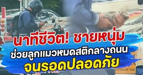นาทีชีวิต! ชายหนุ่มช่วยลูกแมวหมดสติกลางถนน จนรอดปลอดภัย